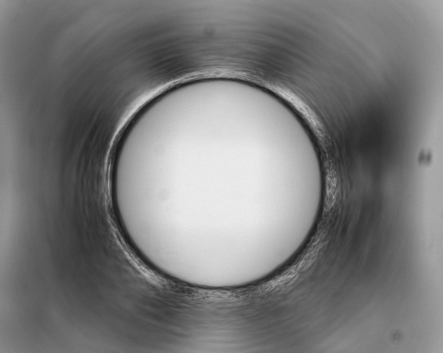 X0000098040886200804181253