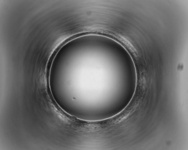 X0000098040888200804181253