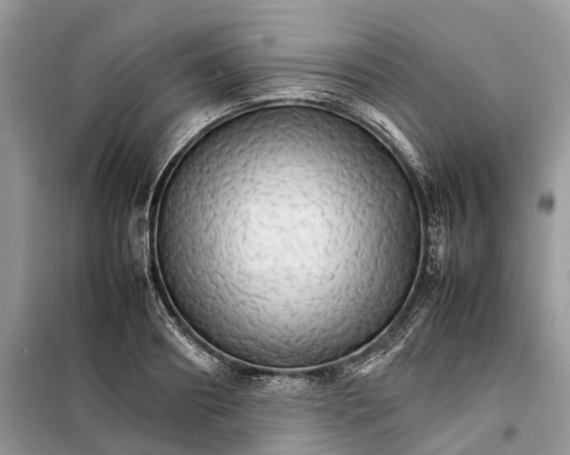 X0000098040890200804181253