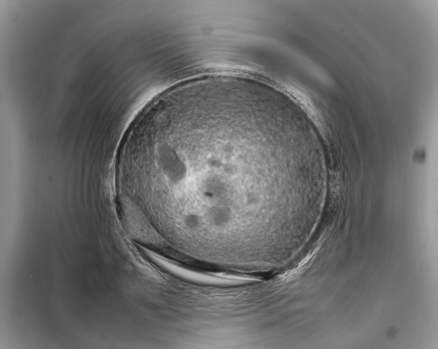 X0000098040891200804181253