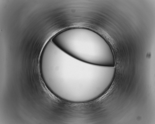 X0000098040892200804181253