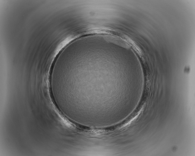 X0000098040893200804181253