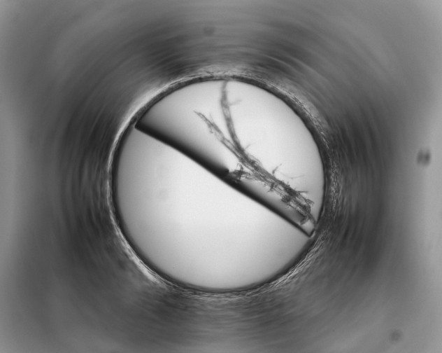 X0000098040894200804181253