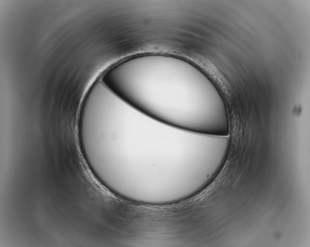 X0000098040896200804181253