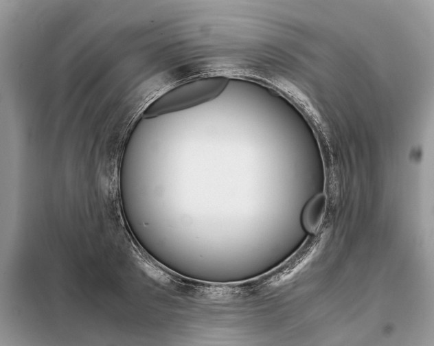 X0000098040897200804181253