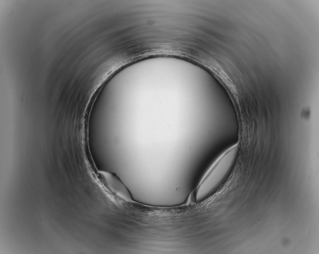 X0000098040898200804181253