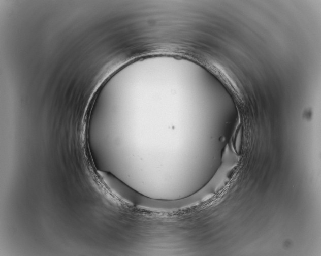 X0000098040900200804181253