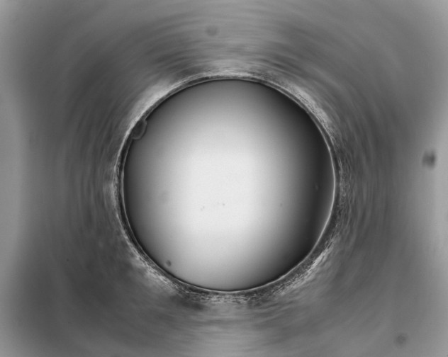 X0000098040901200804181253