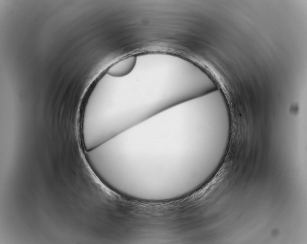 X0000098040902200804181253