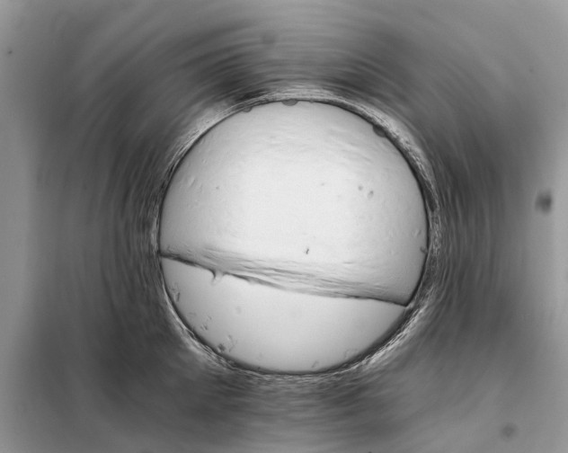 X0000098040905200804181253