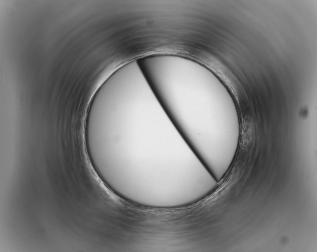 X0000098040906200804181253