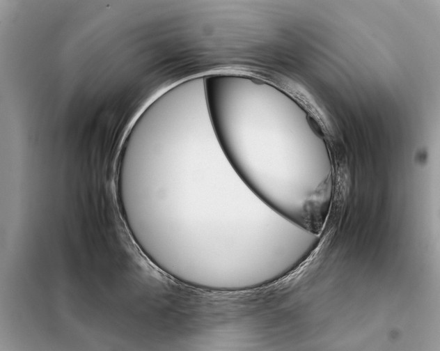 X0000098040908200804181253