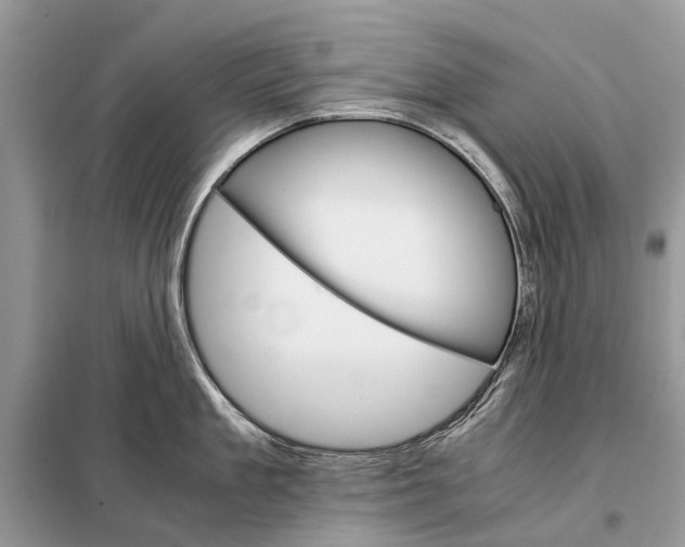 X0000098040909200804181253