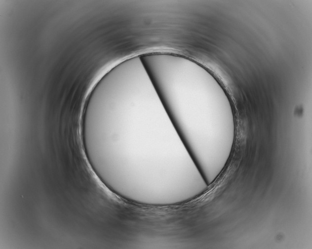 X0000098040910200804181253