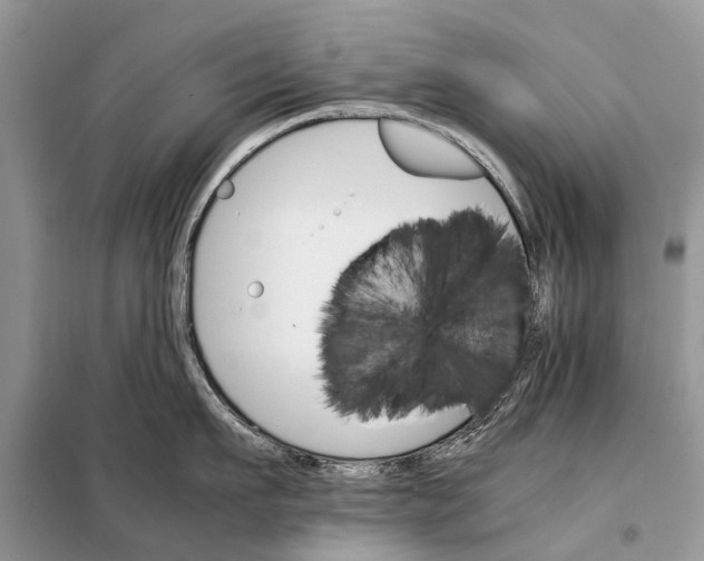 X0000098040911200804181253