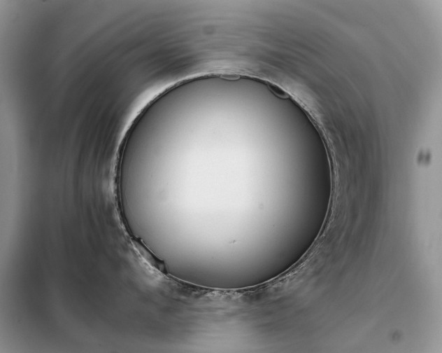 X0000098040912200804181253