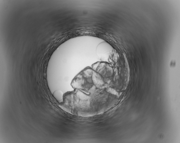 X0000098040913200804181252