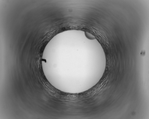 X0000098040914200804181252