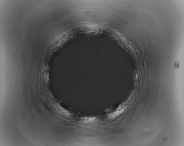 X0000098040916200804181252