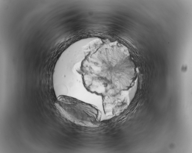 X0000098040917200804181252