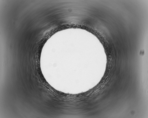 X0000098040918200804181252