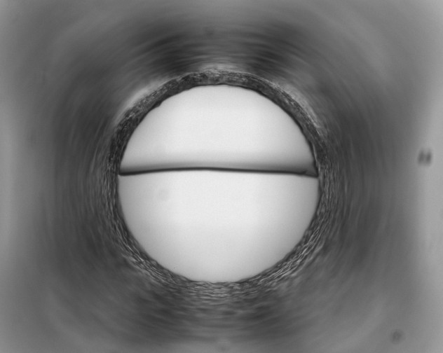 X0000098040919200804181252