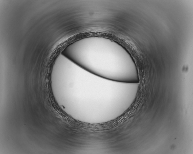 X0000098040920200804181252