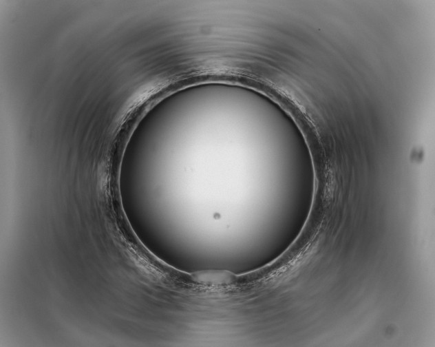 X0000098040922200804181252