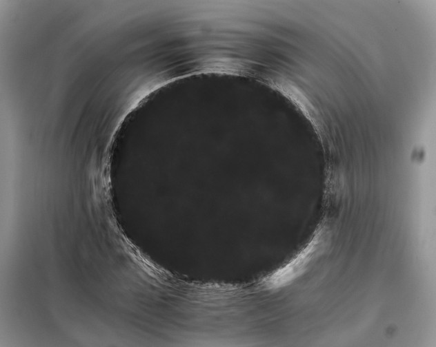 X0000098040923200804181252