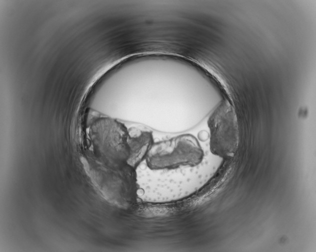 X0000098040925200804181252