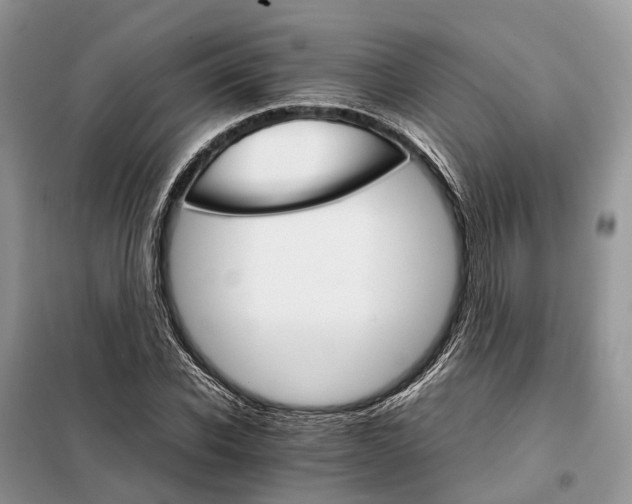 X0000098040926200804181252