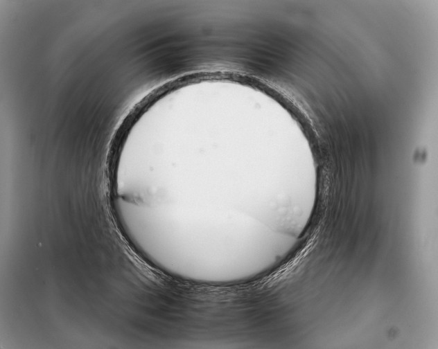 X0000098040927200804181252