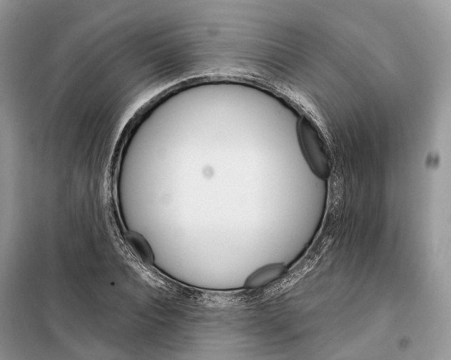 X0000098040928200804181252