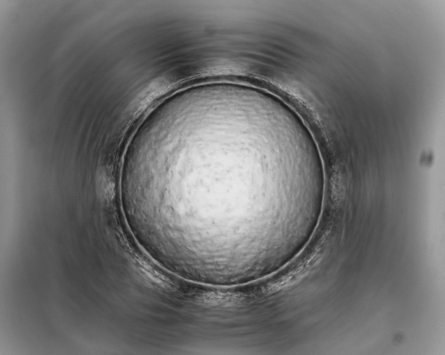 X0000098040929200804181252