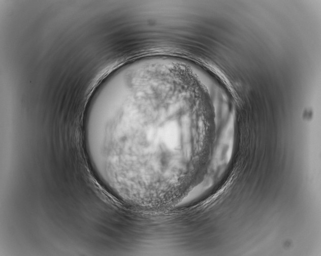 X0000098040930200804181252