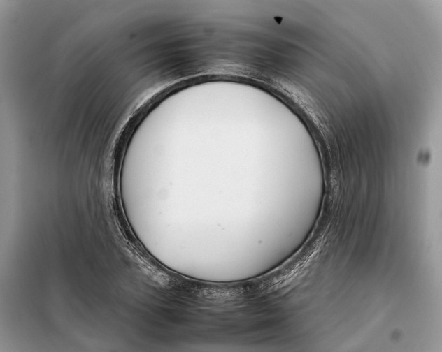 X0000098040931200804181252