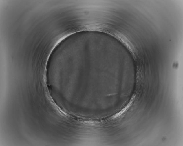 X0000098040932200804181252