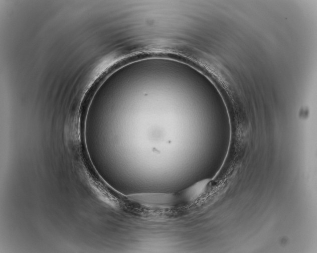 X0000098040934200804181252