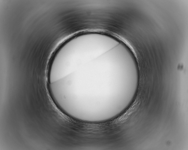 X0000098040935200804181252