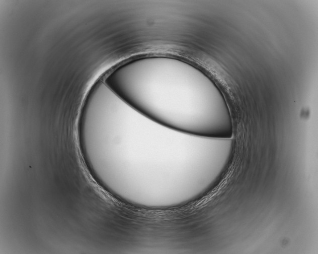 X0000098040936200804181252