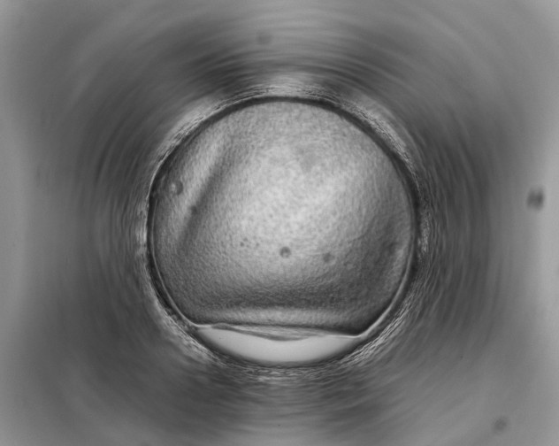 X0000098040938200804181252