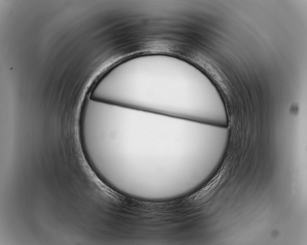 X0000098040939200804181252