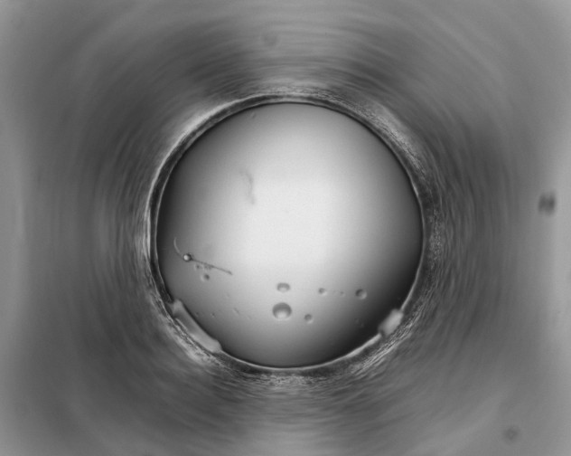 X0000098040940200804181252