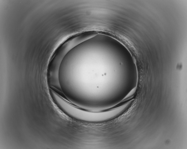 X0000098040942200804181252