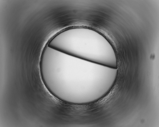 X0000098040943200804181252