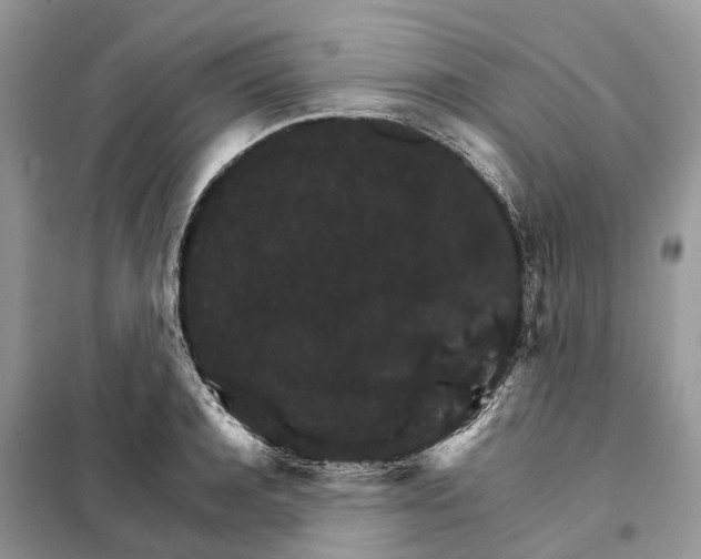 X0000098040944200804181252