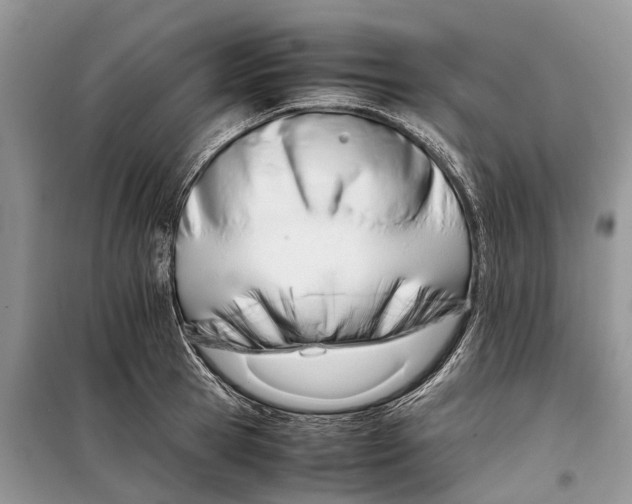 X0000098040945200804181252