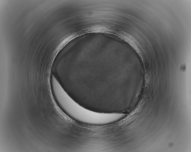 X0000098040946200804181252