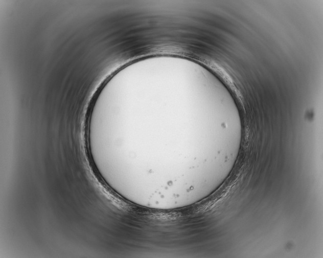 X0000098040947200804181252