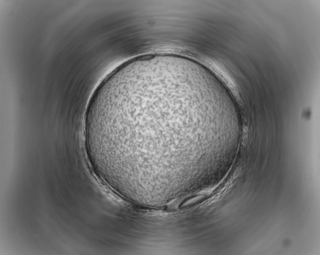 X0000098040948200804181252